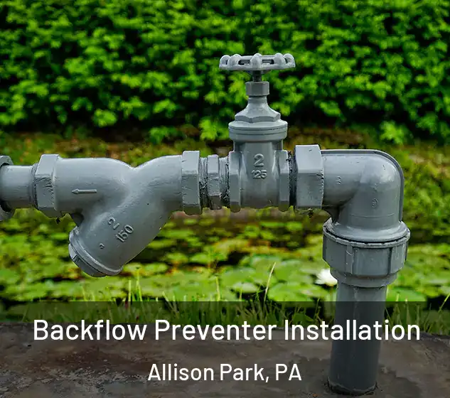  Backflow Preventer Installation Allison Park, PA