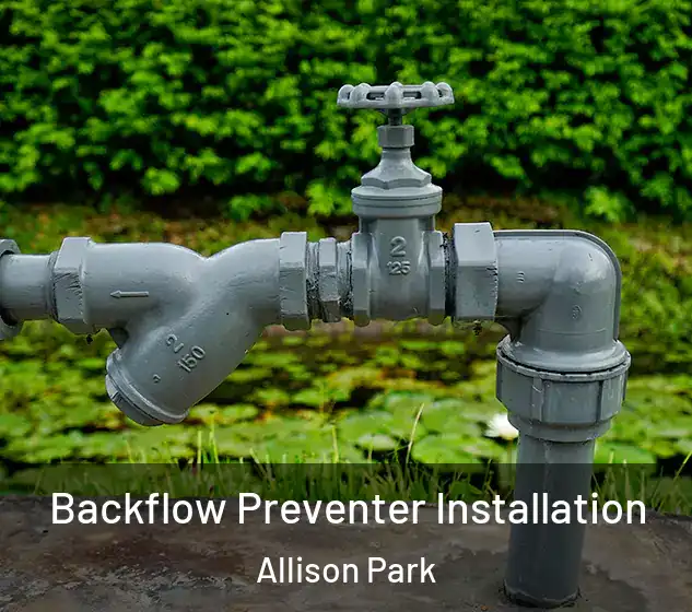  Backflow Preventer Installation Allison Park
