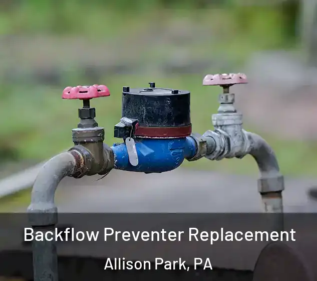  Backflow Preventer Replacement Allison Park, PA