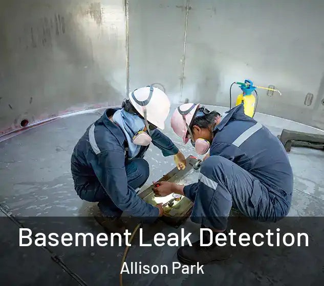  Basement Leak Detection Allison Park