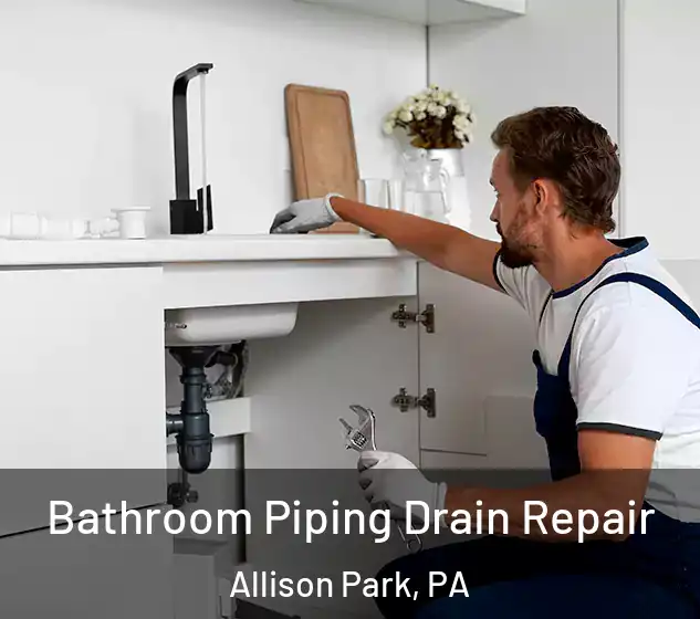  Bathroom Piping Drain Repair Allison Park, PA