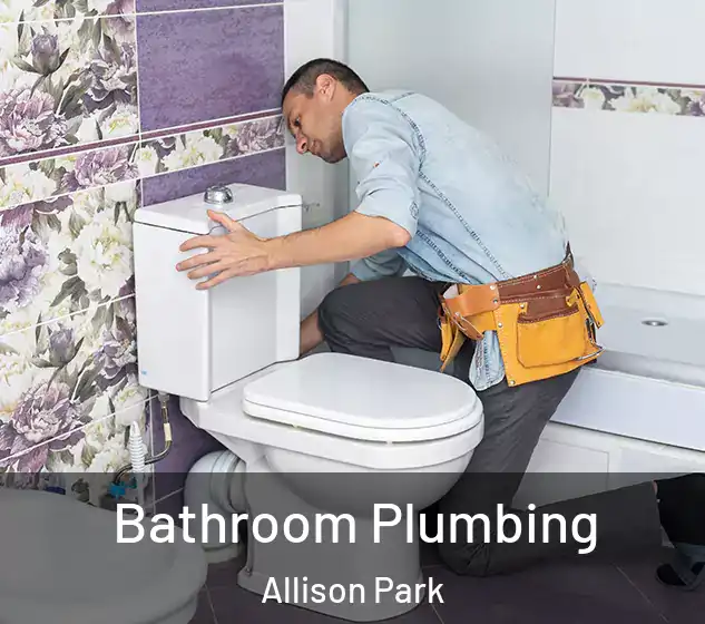  Bathroom Plumbing Allison Park