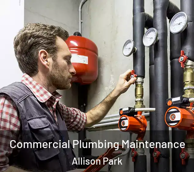  Commercial Plumbing Maintenance Allison Park