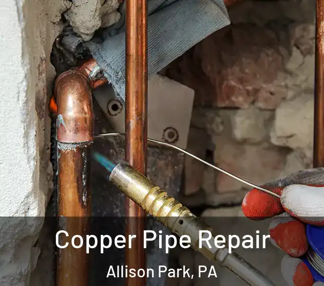  Copper Pipe Repair Allison Park, PA