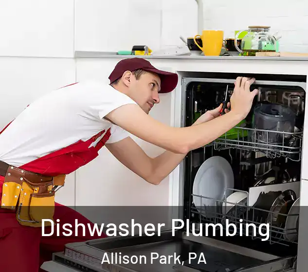  Dishwasher Plumbing Allison Park, PA