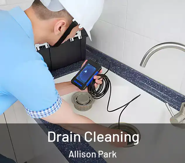  Drain Cleaning Allison Park