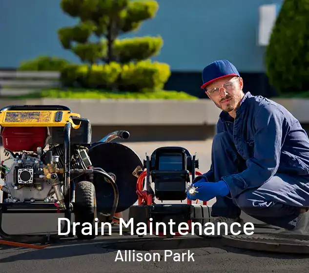  Drain Maintenance Allison Park