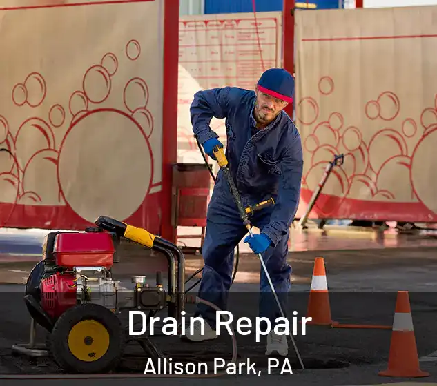  Drain Repair Allison Park, PA