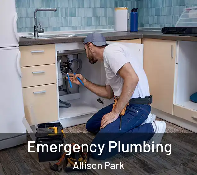  Emergency Plumbing Allison Park
