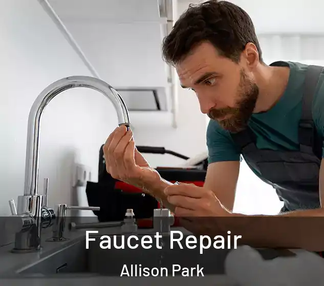  Faucet Repair Allison Park