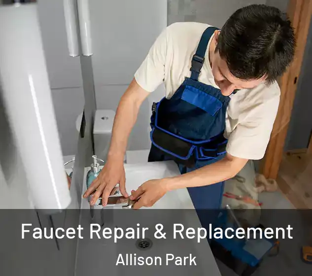  Faucet Repair & Replacement Allison Park