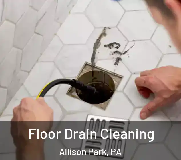  Floor Drain Cleaning Allison Park, PA