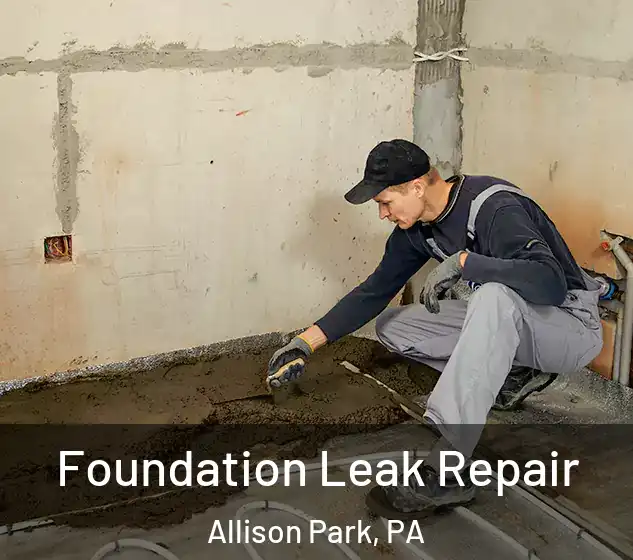  Foundation Leak Repair Allison Park, PA
