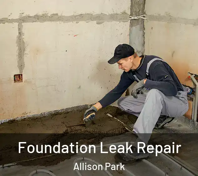  Foundation Leak Repair Allison Park