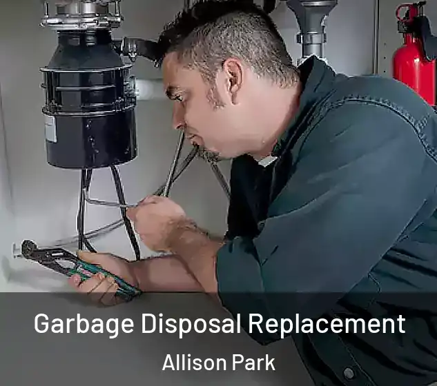  Garbage Disposal Replacement Allison Park