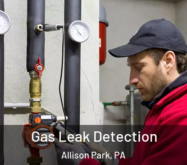  Gas Leak Detection Allison Park, PA