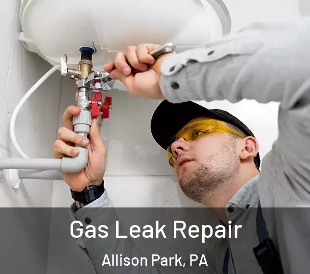  Gas Leak Repair Allison Park, PA