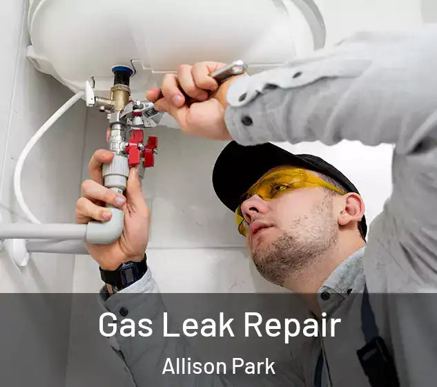  Gas Leak Repair Allison Park
