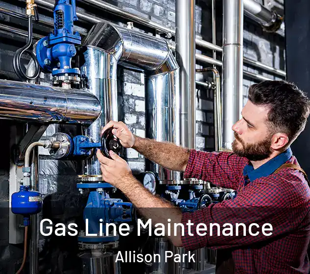  Gas Line Maintenance Allison Park