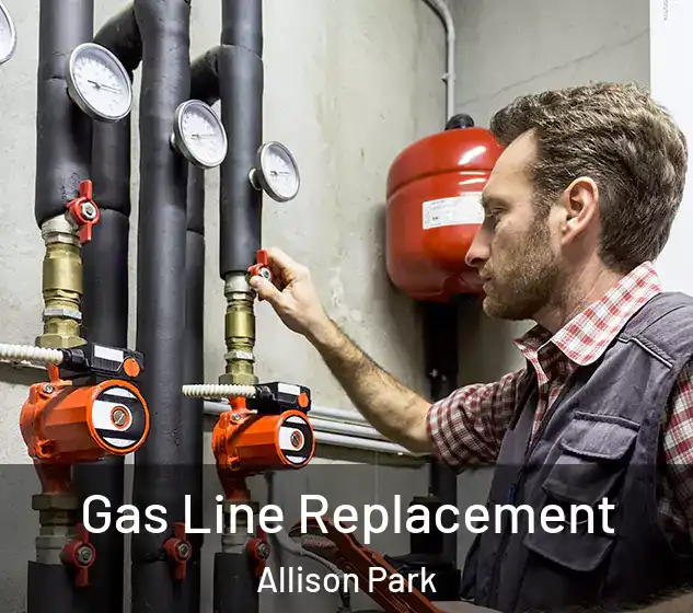  Gas Line Replacement Allison Park