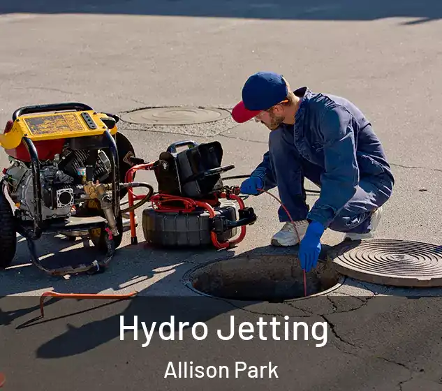  Hydro Jetting Allison Park