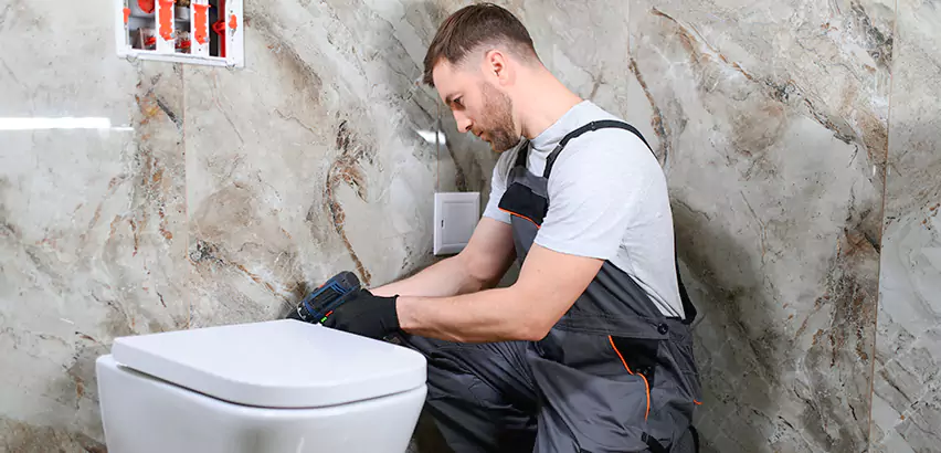 Scope of Bathroom Toilet Replacement Services in Allison Park, PA