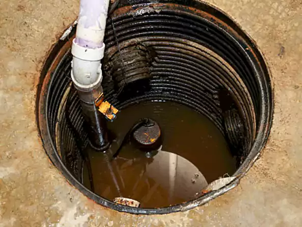 Why Allison Park Plumbing is the First Choice for Sewage Ejector Pump Maintenance Services in Allison Park, PA?