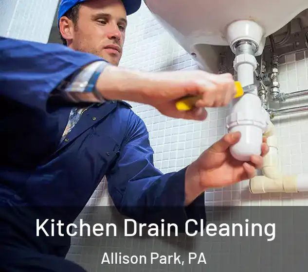  Kitchen Drain Cleaning Allison Park, PA