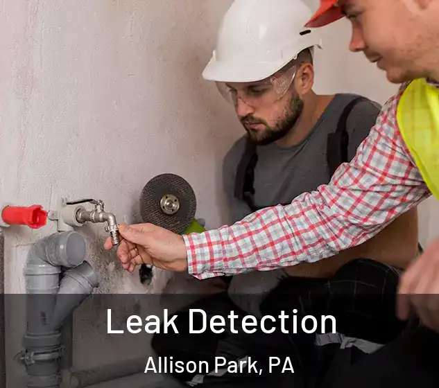  Leak Detection Allison Park, PA