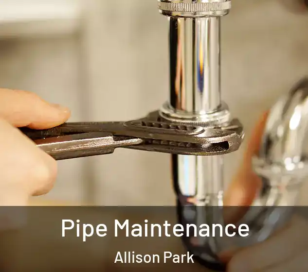  Pipe Maintenance Allison Park