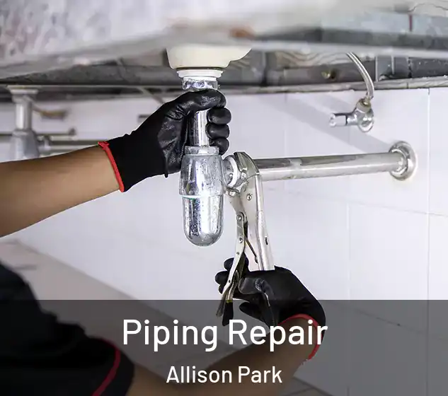  Piping Repair Allison Park