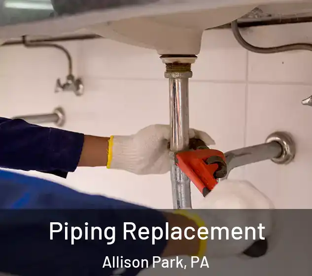  Piping Replacement Allison Park, PA