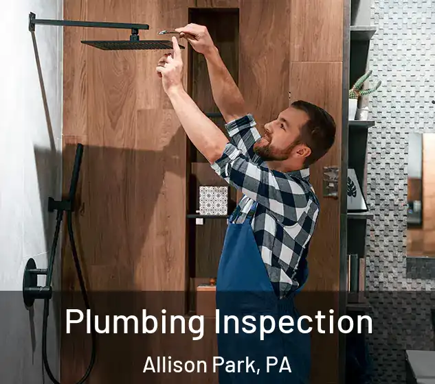  Plumbing Inspection Allison Park, PA