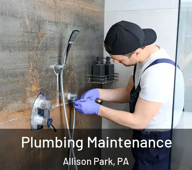  Plumbing Maintenance Allison Park, PA