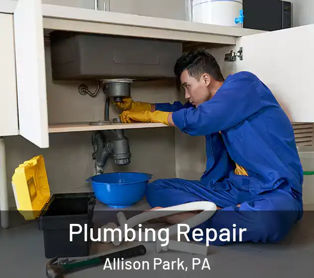  Plumbing Repair Allison Park, PA