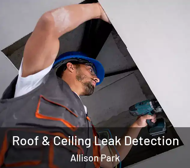  Roof & Ceiling Leak Detection Allison Park