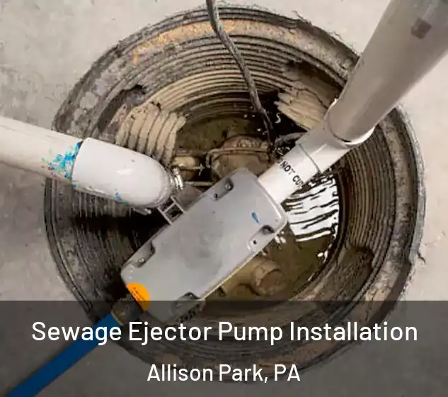  Sewage Ejector Pump Installation Allison Park, PA