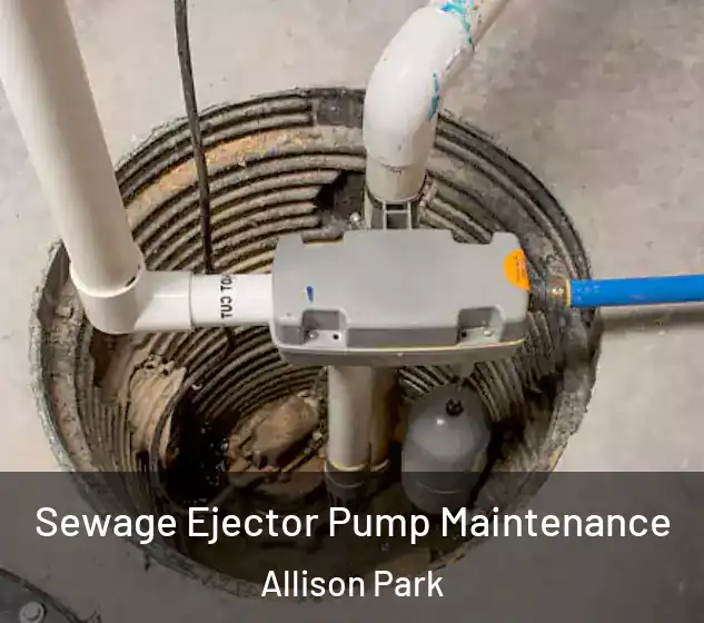  Sewage Ejector Pump Maintenance Allison Park