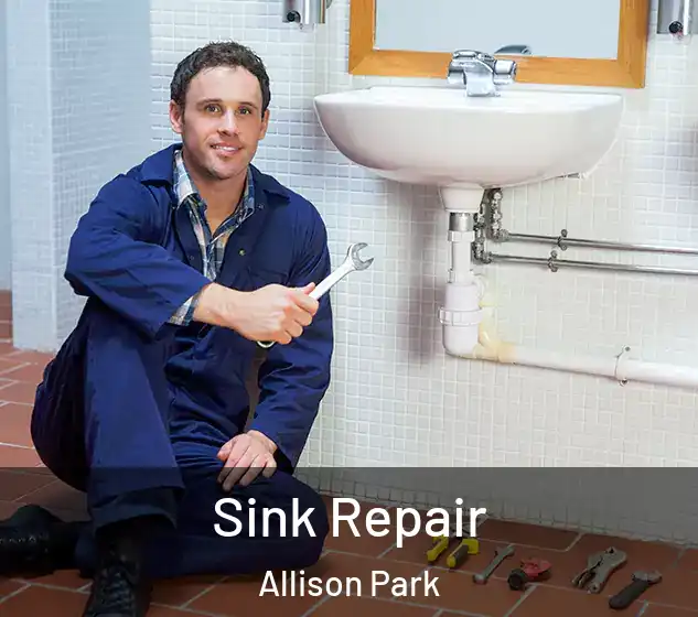  Sink Repair Allison Park