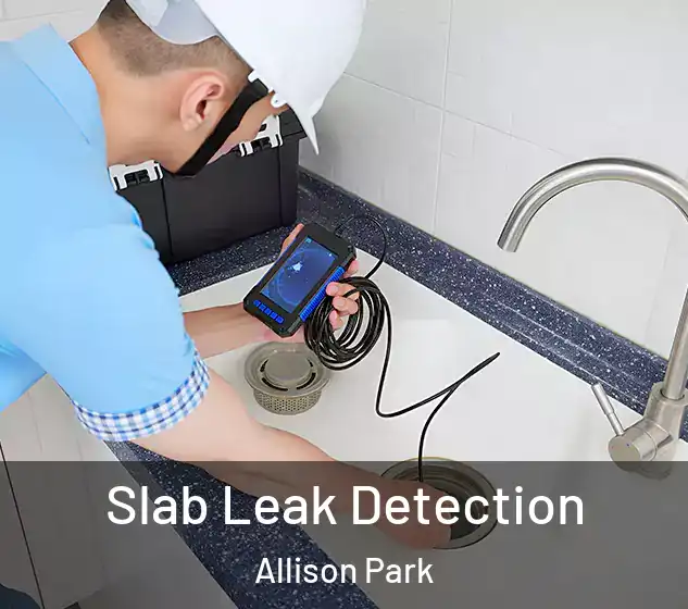  Slab Leak Detection Allison Park