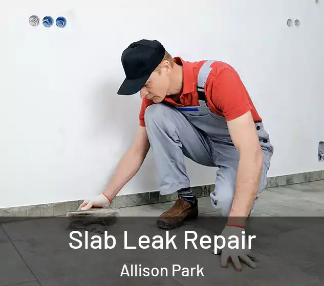  Slab Leak Repair Allison Park