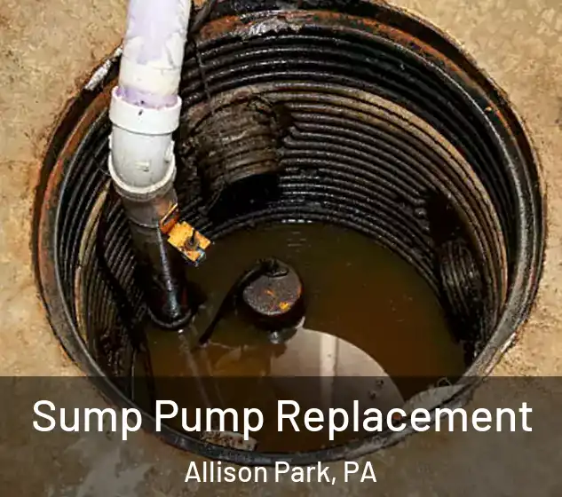  Sump Pump Replacement Allison Park, PA