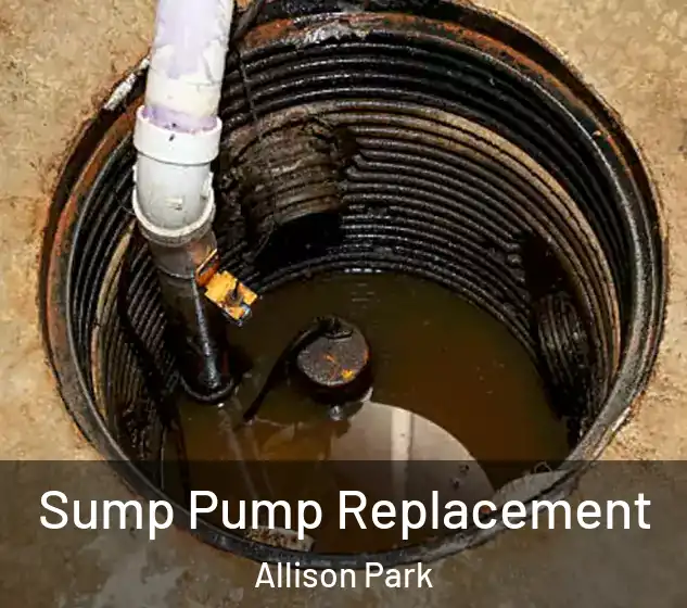  Sump Pump Replacement Allison Park