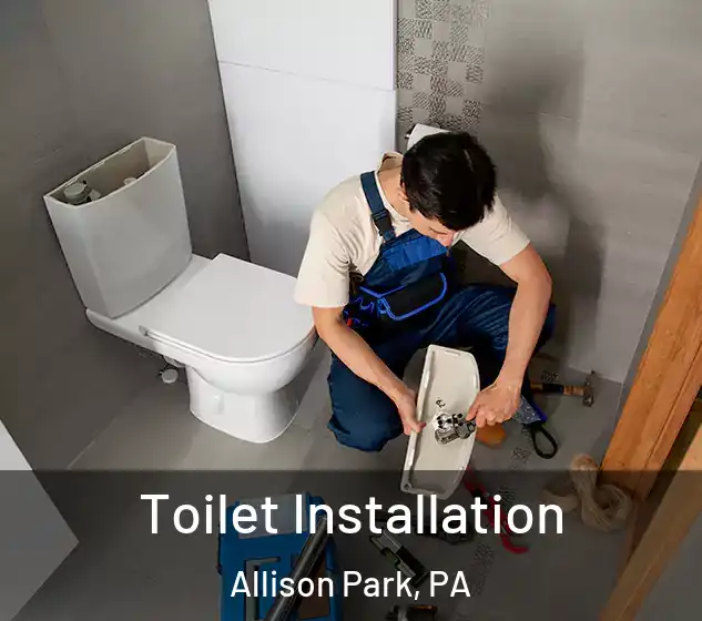  Toilet Installation Allison Park, PA