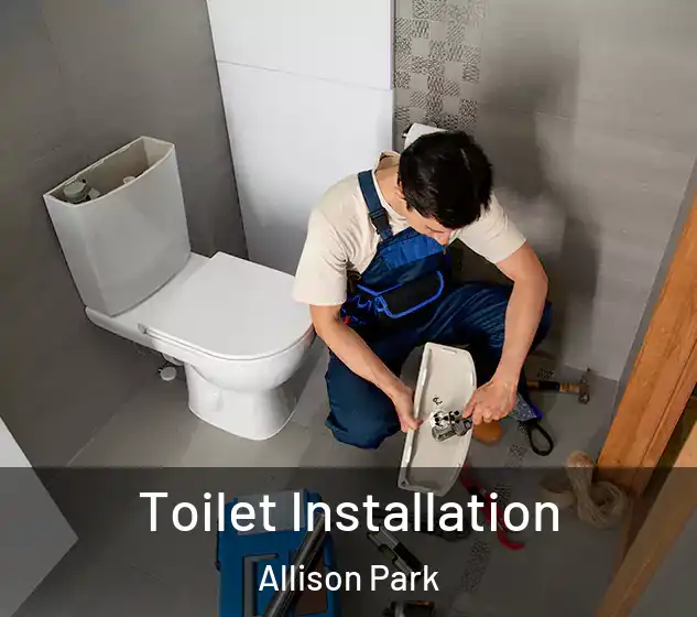  Toilet Installation Allison Park