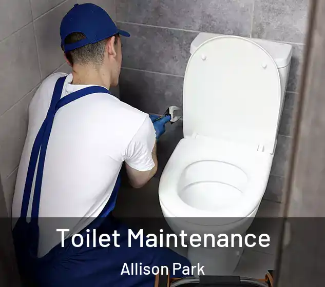  Toilet Maintenance Allison Park