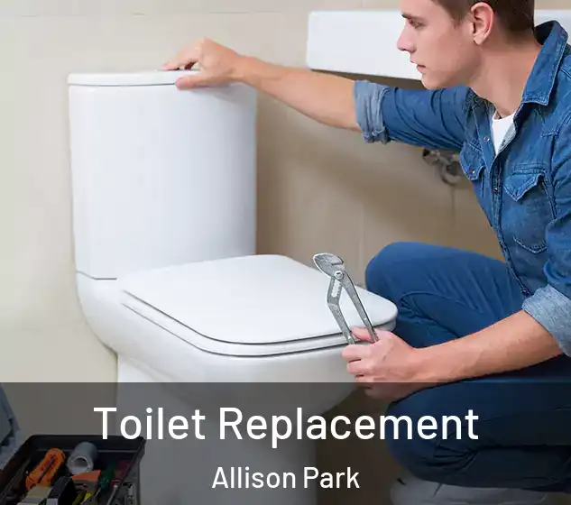  Toilet Replacement Allison Park