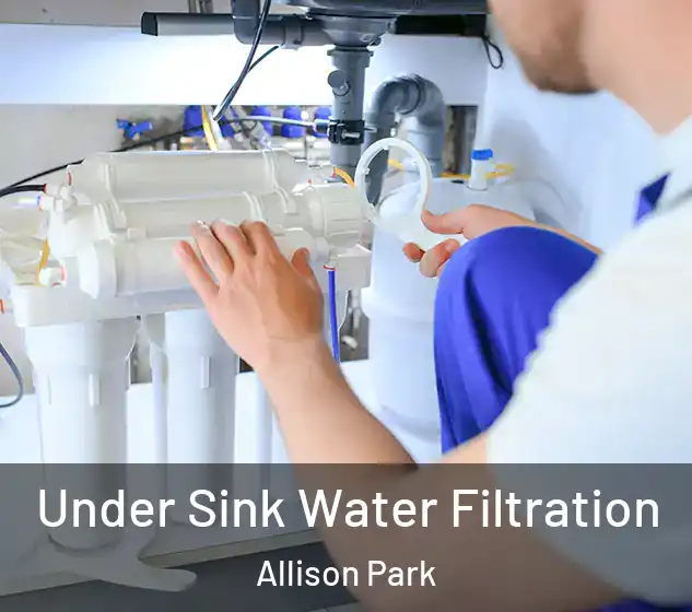  Under Sink Water Filtration Allison Park