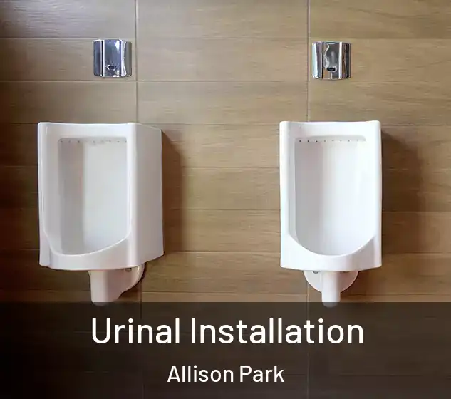  Urinal Installation Allison Park