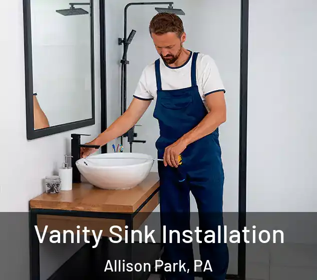  Vanity Sink Installation Allison Park, PA